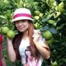 Hồng Juki