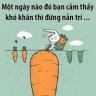 nguyenngocson0712